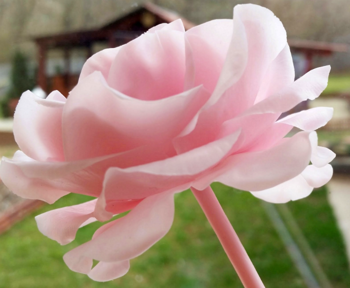 How to Make Easy Air Dry Clay Flowers