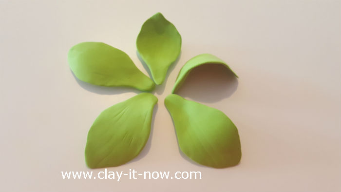 clay green orchid flower - orchid clay - 5