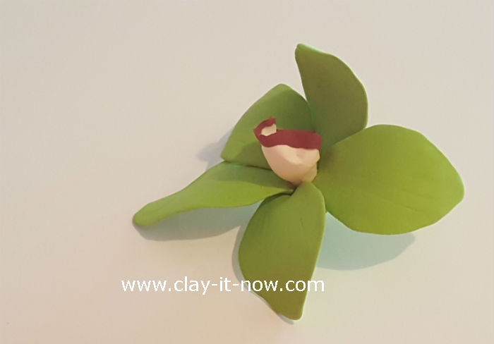 clay green orchid flower - orchid clay - 9