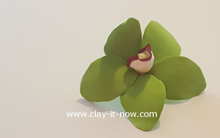 clay green orchid flower - orchid clay - 8