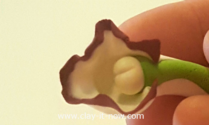 clay green orchid flower - orchid clay - 7