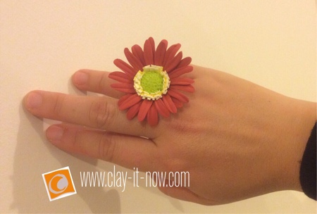 Gerbera Daisy Gerbera Daisy