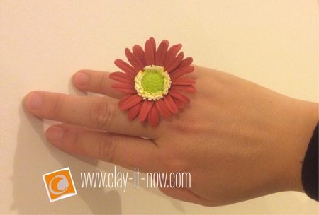 Gerbera Daisy