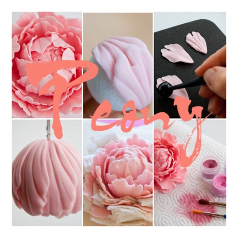 peony gum paste tutorial